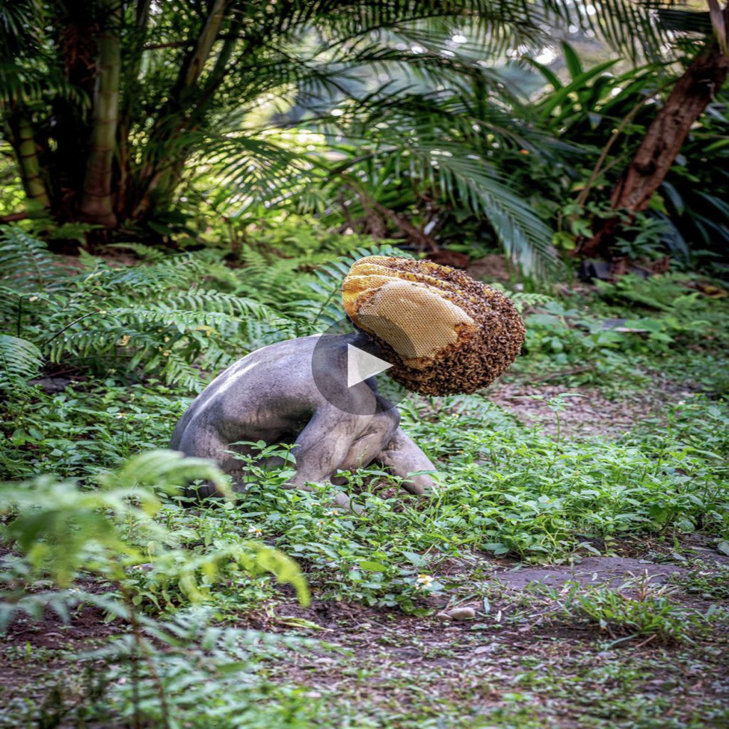 strange-animal-discovered-in-the-forest-has-human-like-body-but-alien-heads