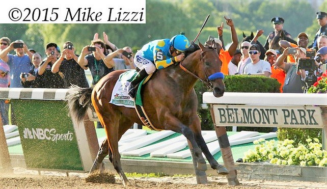 American Pharoah triple crown winner horse