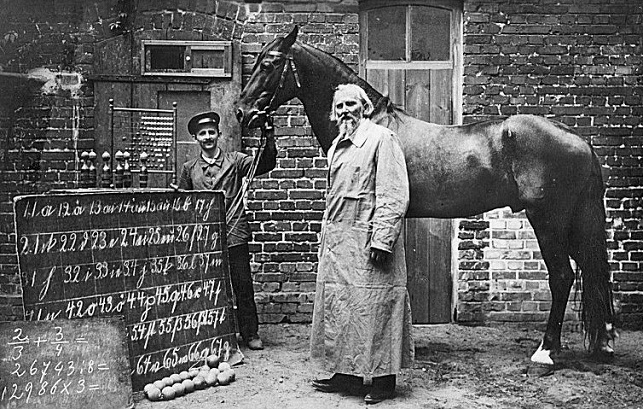 Clever Hans horse