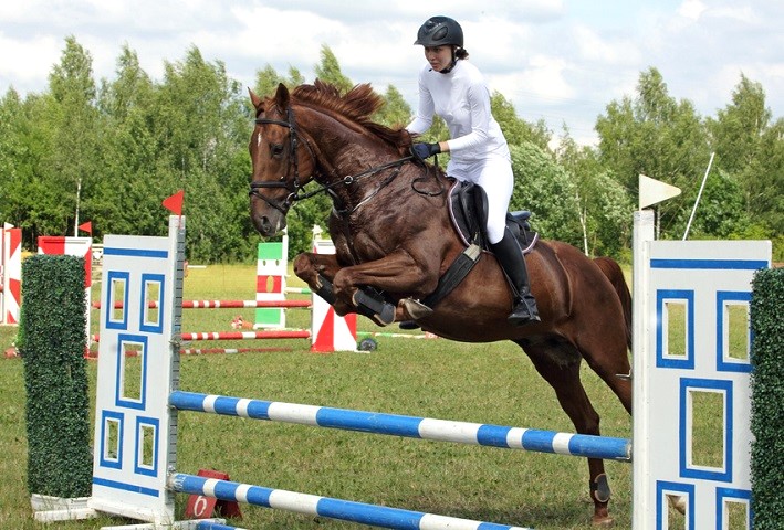 Equestrian girl taking her horse over a jump in a practice show jumping session