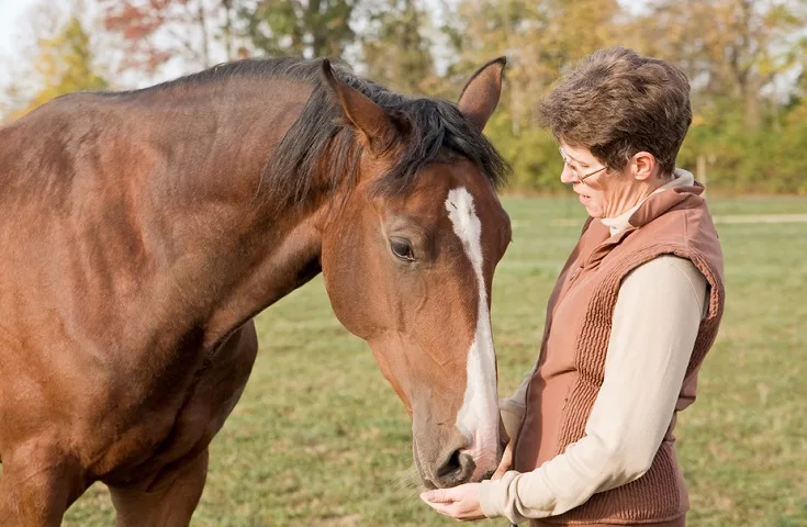 Older woman giving her horse a treat in a field