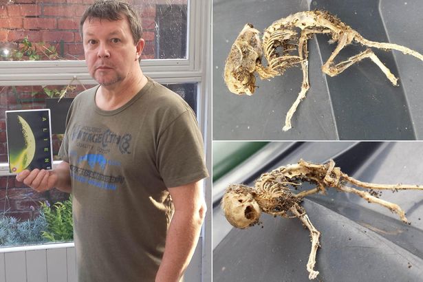 Alien skeleton' unearthed by record label director is ᴅᴇᴀᴅ ringer for Ridley Scott film beast - Mirror Online