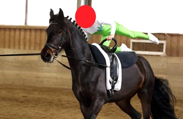 Young girl practicing equestrian valuting on ablack horse in an indoor menage