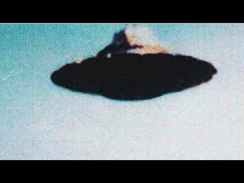 Tan The era of covering up UFOs for 70 years is finally coming to a close. !z - LifeAnimal