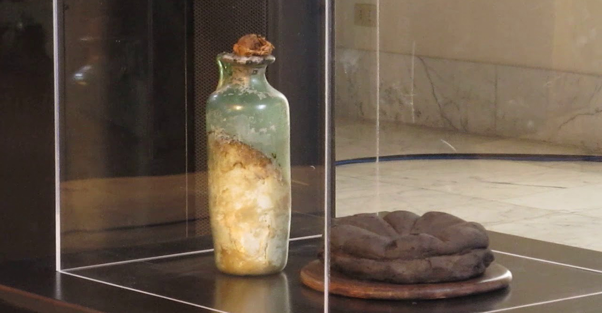 Vanvitelli Magazine - The oldest bottle of olive oil in the world is from  the Pompeian era