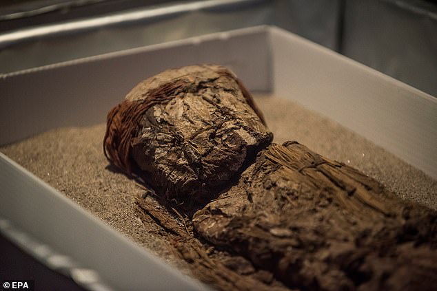 The mummification process consisted of removing the organs, intestines and tissue, then ripping the skin off and reassembling the corpse using sticks and animal hair