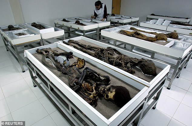 So far, more than 300 Chinchorro mummies have been uncovered, including red, black and bandaged ones