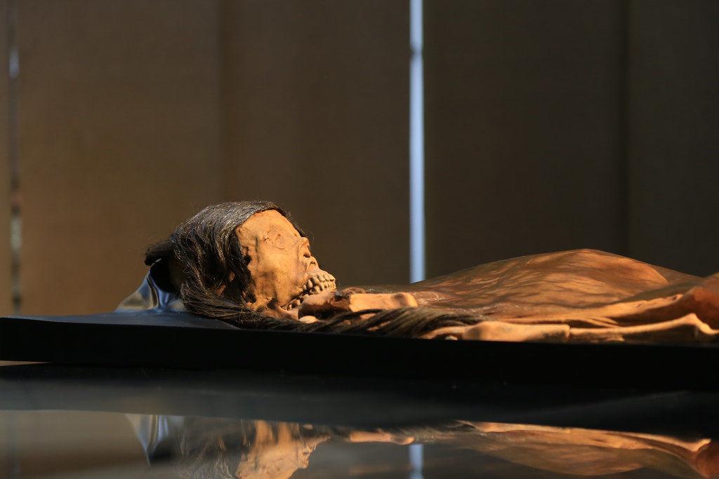 Meet the Lady of Cao, a 1,700-year-old Peruvian mummy with Tulane ties | Education | nola.com