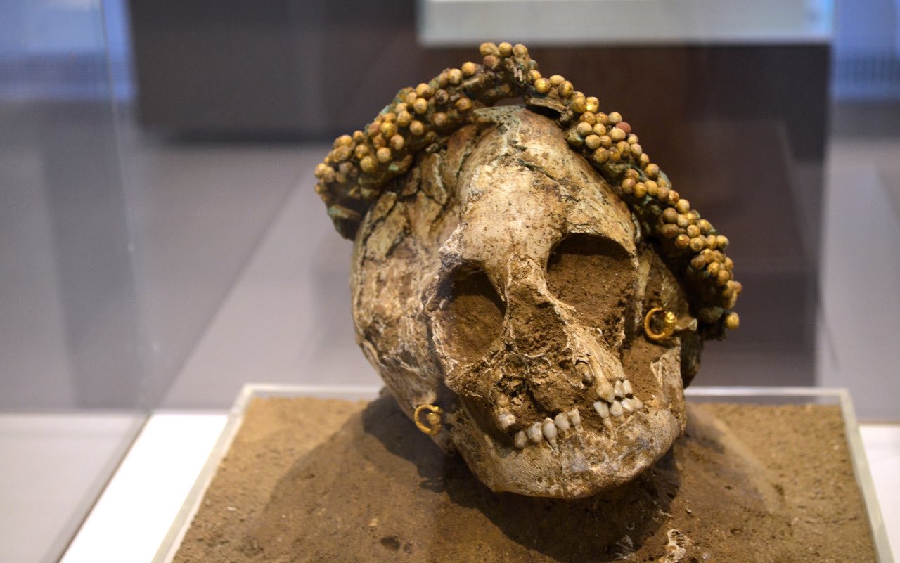 World Of History on Twitter: "Skulls of 2 Ancient Greek girls and 2 women  with a ceramic flower wreath has been discovered. These remains have been  dated circa 400 to 300 B.C.