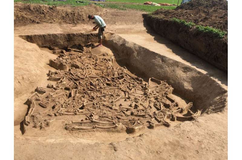 Headless skeletons in a settlement trench: A 7,000-year-old mass grave?