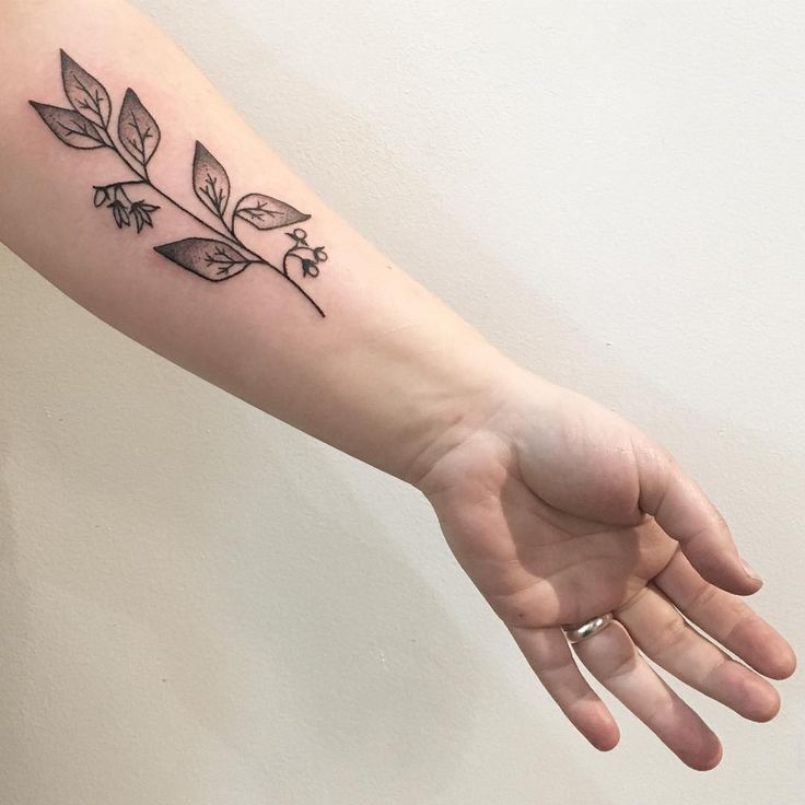 tiny sapling tattoo