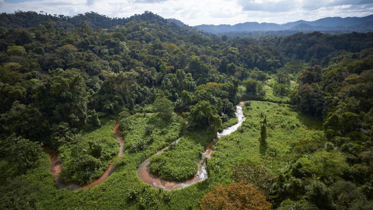 The National Geographic team was searching for the legendary "White City" or "City of the Monkey God."