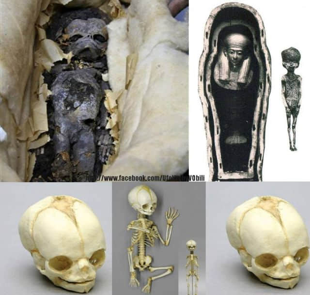 Unearthed Secrets: Extraterrestrial Mummies Discovered in Ancient Egyptian Tombs! Could This Reshape Our Understanding of History? Join us on a journey to uncover the mystery.