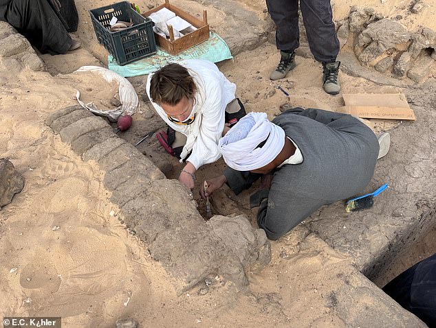 Egypt's forgotten FEMALE 'king': Archaeologists uncover the tomb of a powerful woman who may have ruled 5,000 years ago - T-News