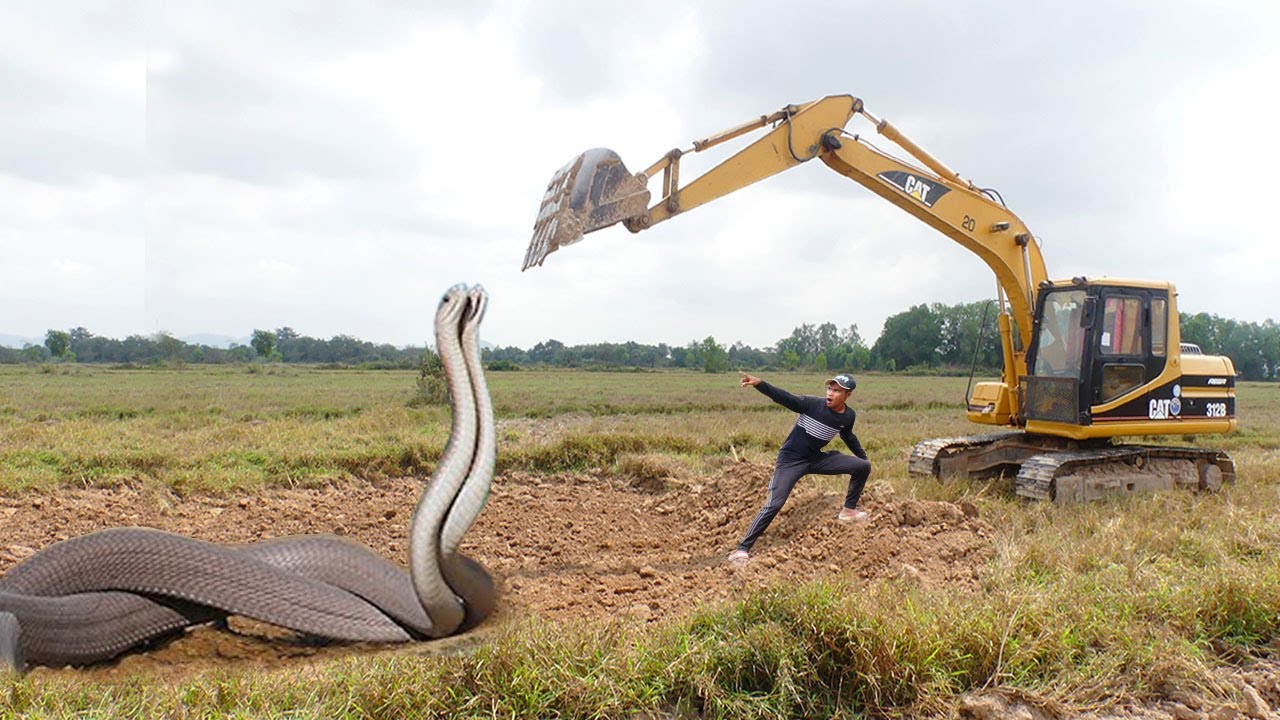 The remarkaƄle strength of a 20-foot python was captured as it coiled itself around an excaʋator.