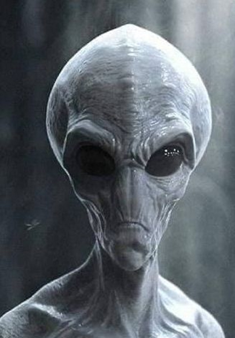 Unveiling the Enigma: The True Form of Aliens