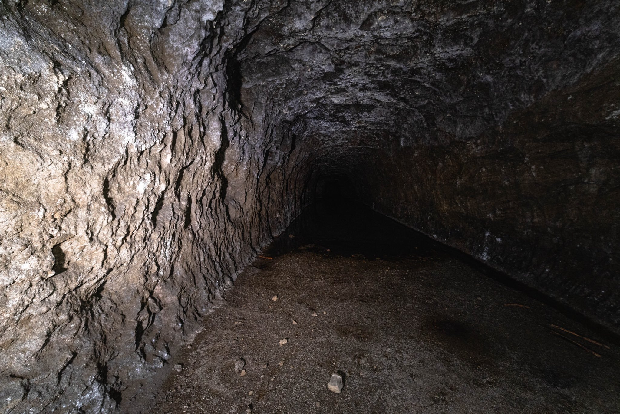 The Truth Behind Japan’s Creepiest Tunnel Shrine