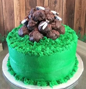 Horse poop on grass cake