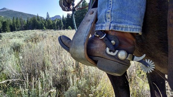 Why did cowboys wear spurs on their boots? - Quora