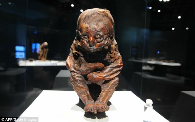 The Detmold Child – A Peruvian Child Mummy more than 6,500 years old found wrapped in linen and buried with an amulet hung around its neck. - NY DAILY