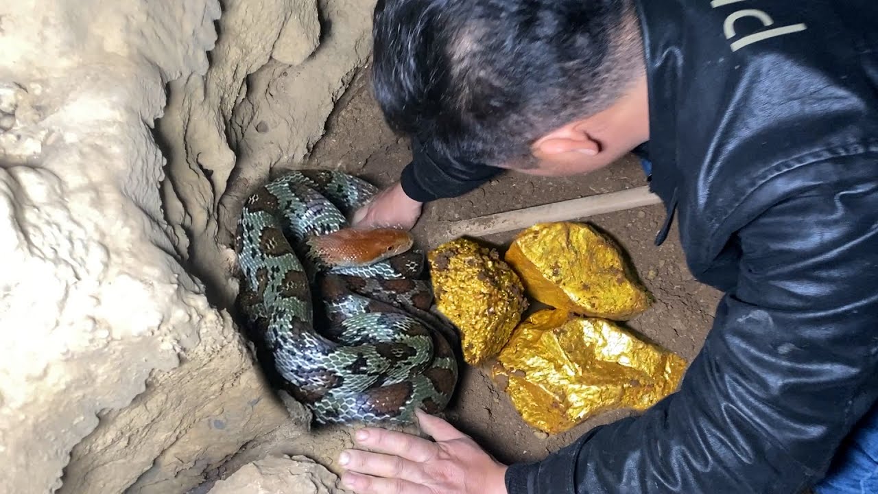 Man Discovers Enormous Golden Treasure Protected by a Serpent