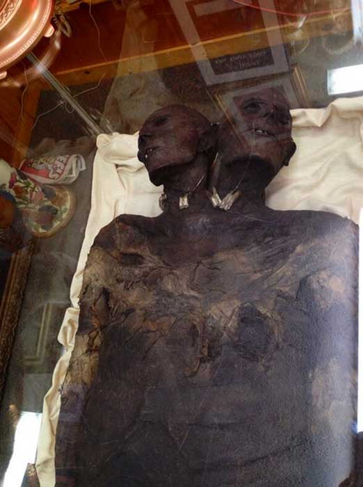 Tales of a Two-headed Giant: Are the Legends of Kap Dwa Real?