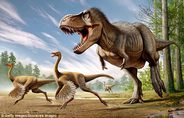 The study could enable us to tell what colour feathered dinosaurs were. Some researchers believe Tyrannosaurus rex even had feathers (illustrated)