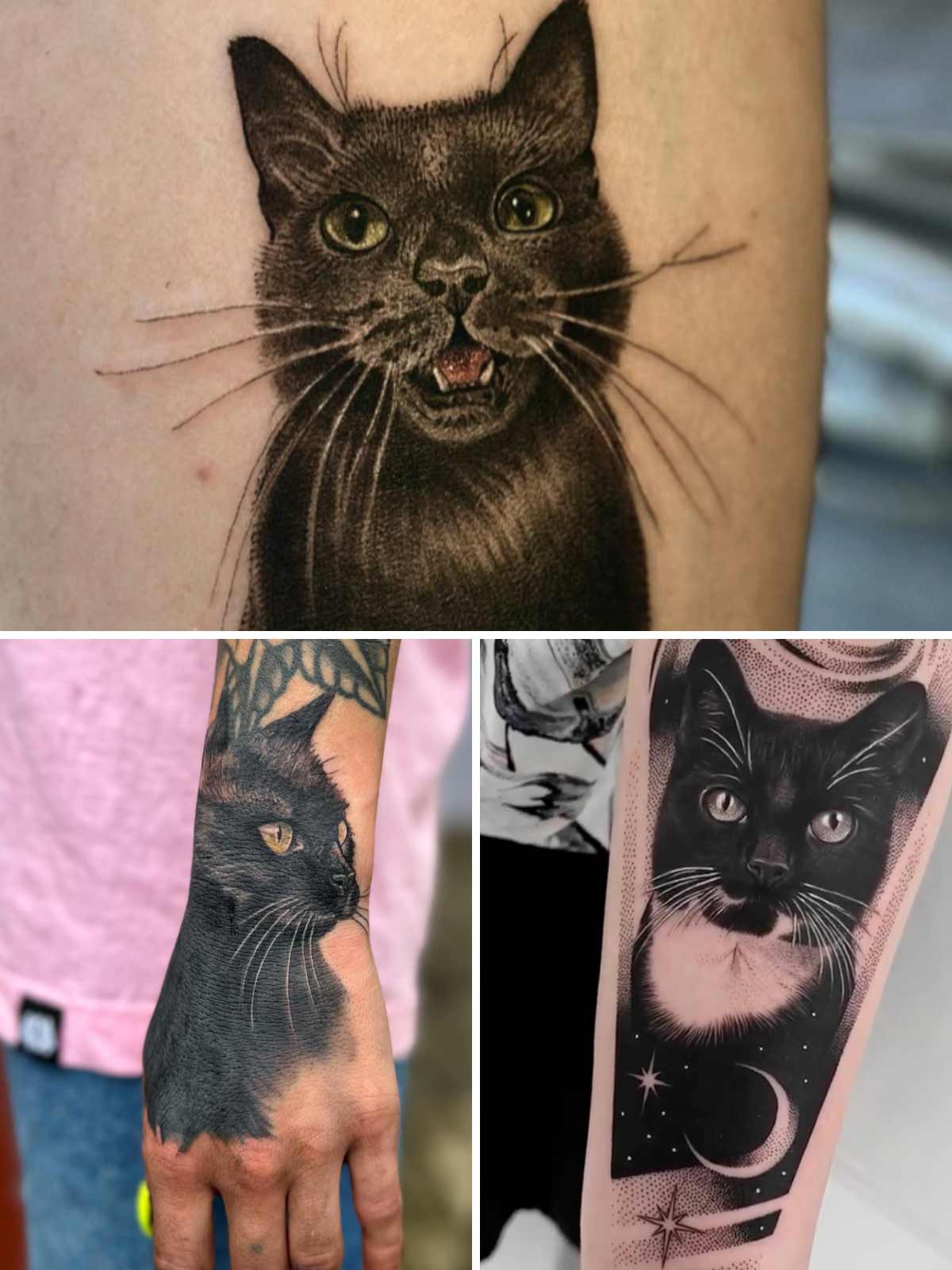 realistic cat designs