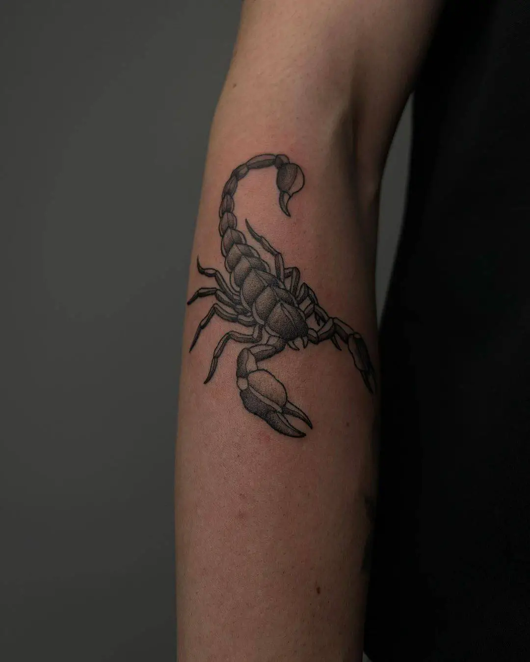 Scorpio tattoo design by thelifelover