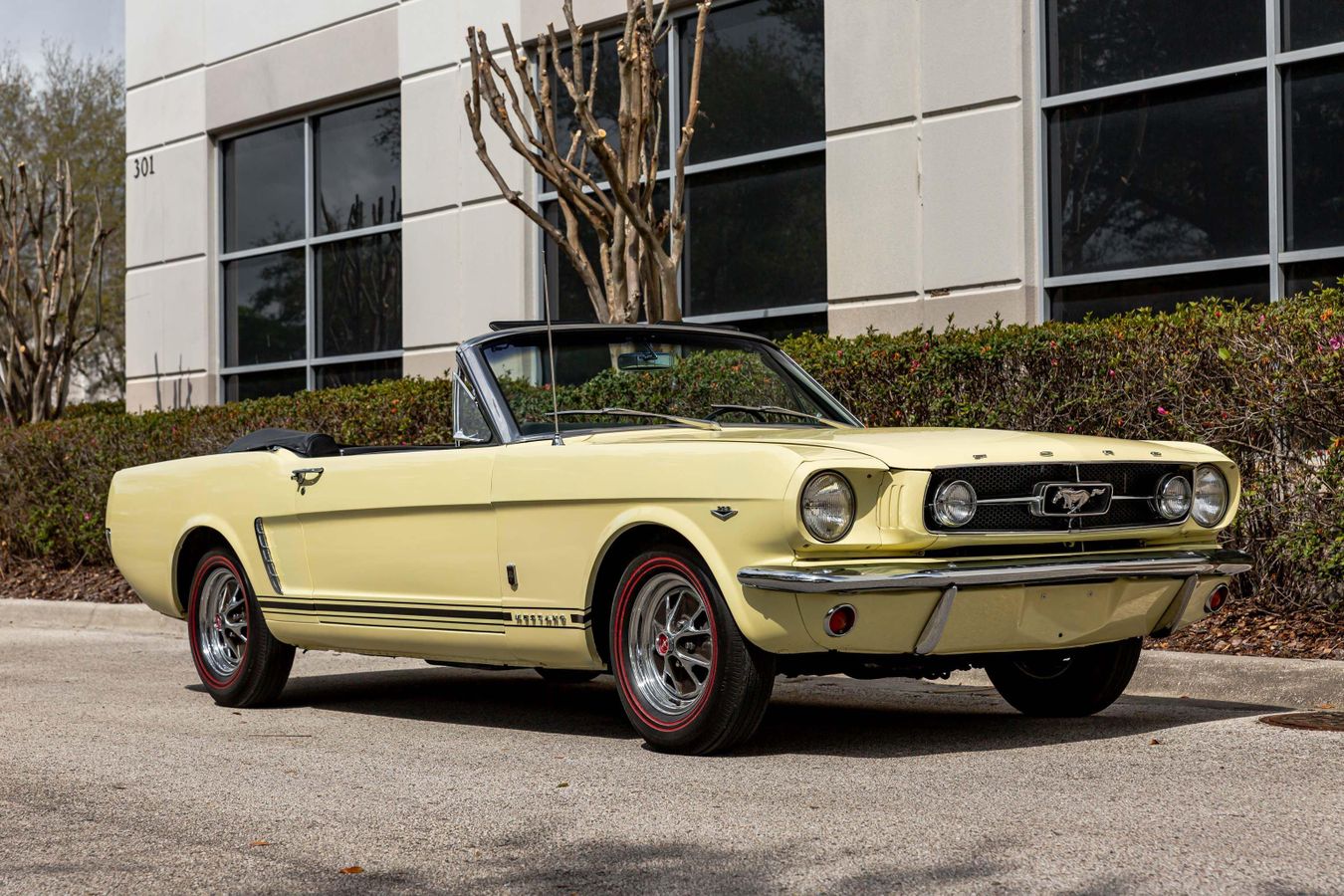 Timeless Legacy 1965 Ford Mustang, an Iconic Piece of American