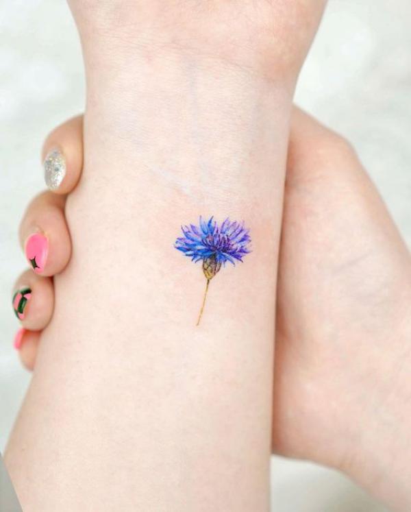 Small cornflower on forearm