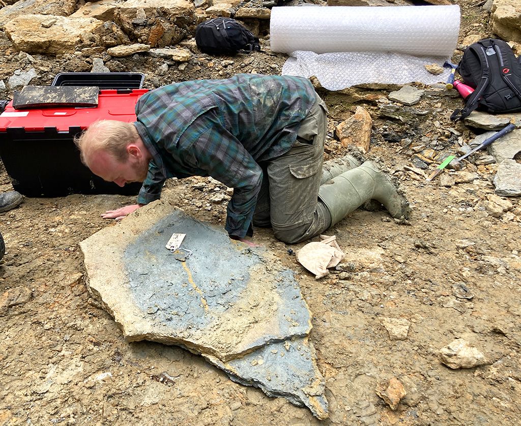 Jurassic Pompeii' yields thousands of 'squiggly wiggly' fossils - BBC News