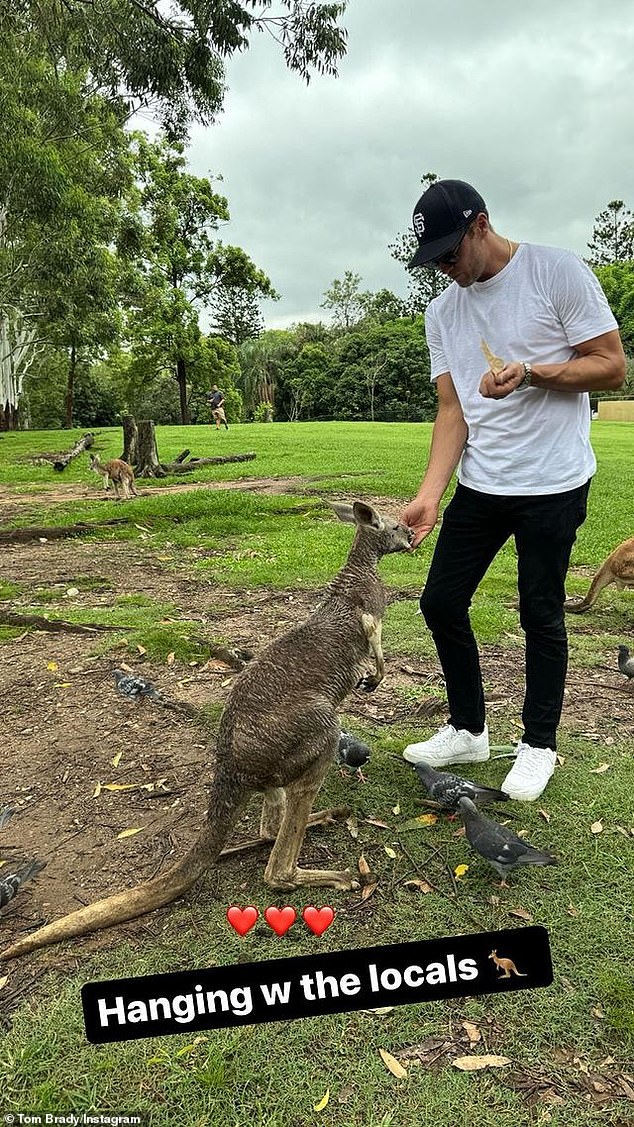 Tom Brady (pictured) got to know some locals during his trip to Australia this week. The retired NFL legend, 46, headed out to a wildlife park where he was able to feed some kangaroos and wallabies by hand