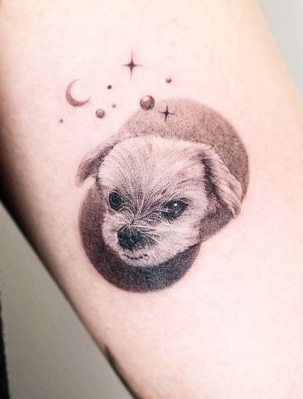 Angry dog tattoo by @nandotattooer
