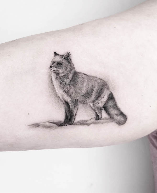 Realistic and detailed fox bicep tattoo by @lucyorbarker