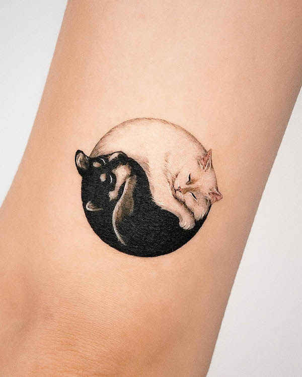 Yin yang puppy and kitten tattoo by @youngchickentattoo