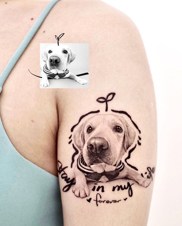Cute Labrador arm tattoo by @fattie_tao