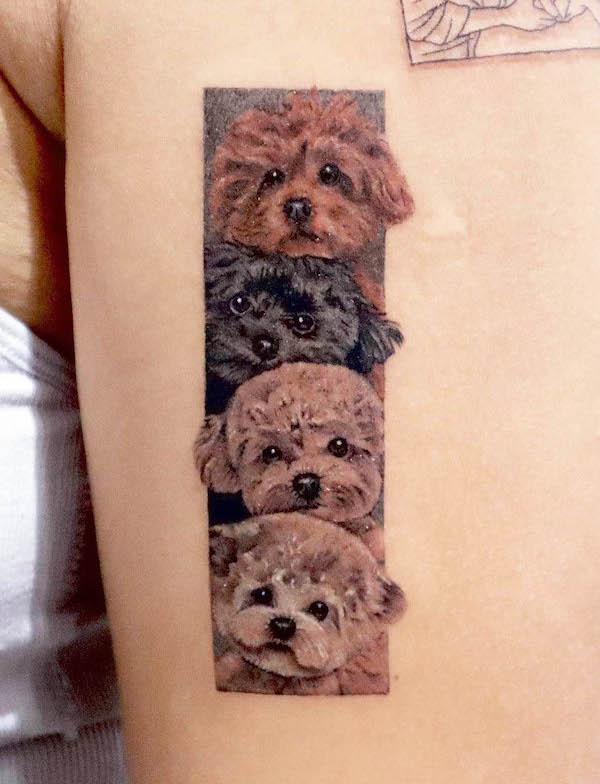 Poodle tattoo by @suryeon.tt