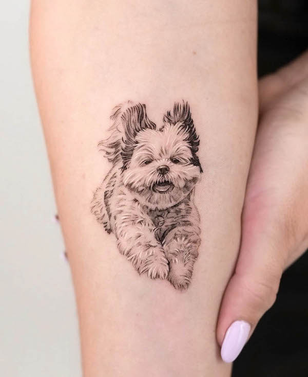 Microrealism dog tattoo by @kathy_tattoo