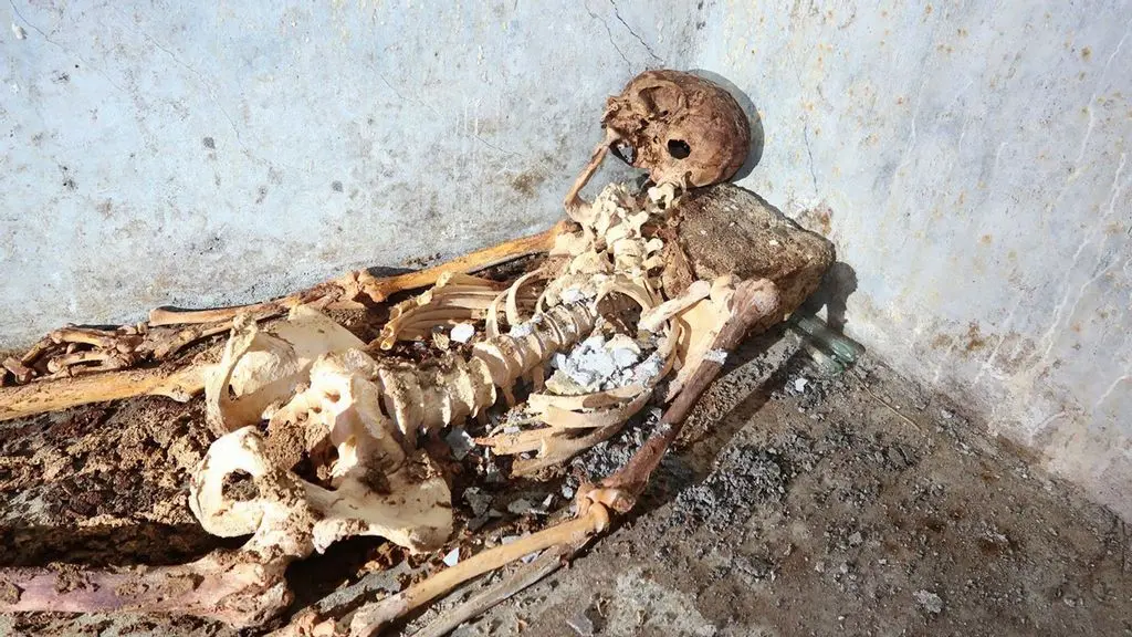 A partially mummified skeleton with white hair and part of an ear still intact has been discovered in Pompeii belonging to a man who organised performances in Greek