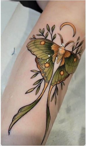 Explore 20 Captivating Butterfly Tattoo Designs on Arms for Men and Women &#8211; Fresh Ideas for 2024