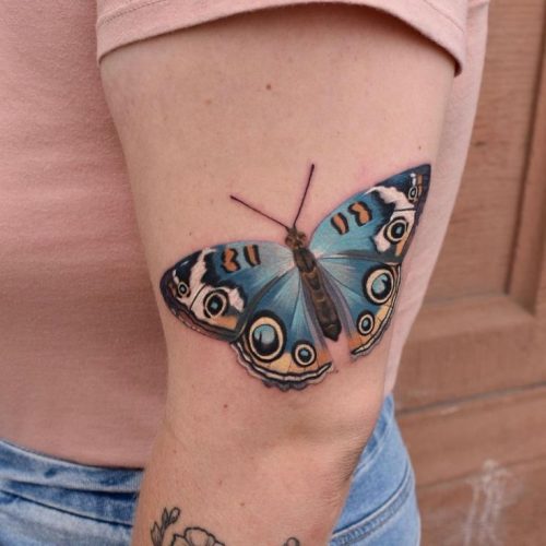 Explore 20 Captivating Butterfly Tattoo Designs on Arms for Men and Women &#8211; Fresh Ideas for 2024