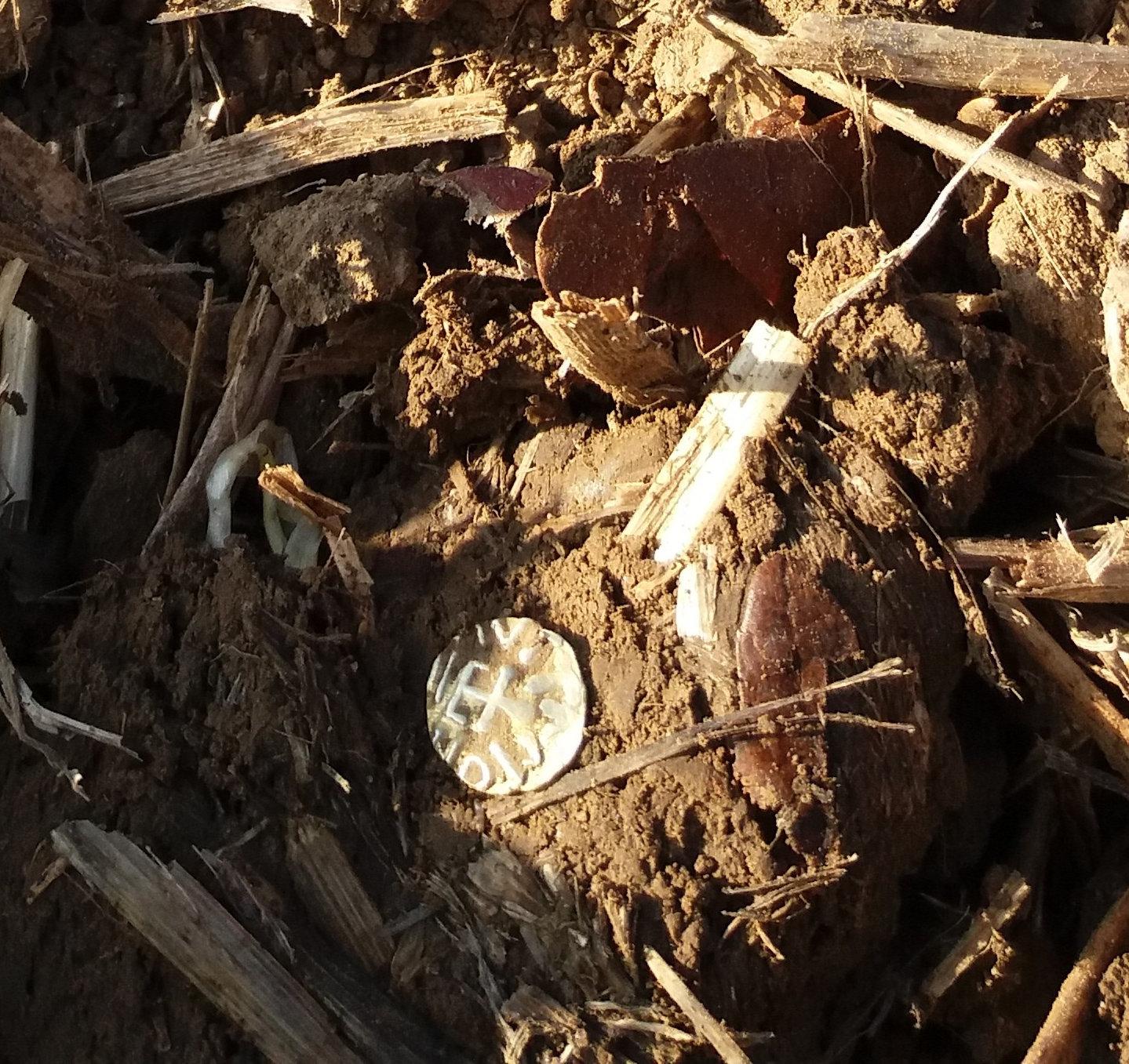 Man finds amazing haul of £10,000 worth of buried treasure in an Essex field | The Sun