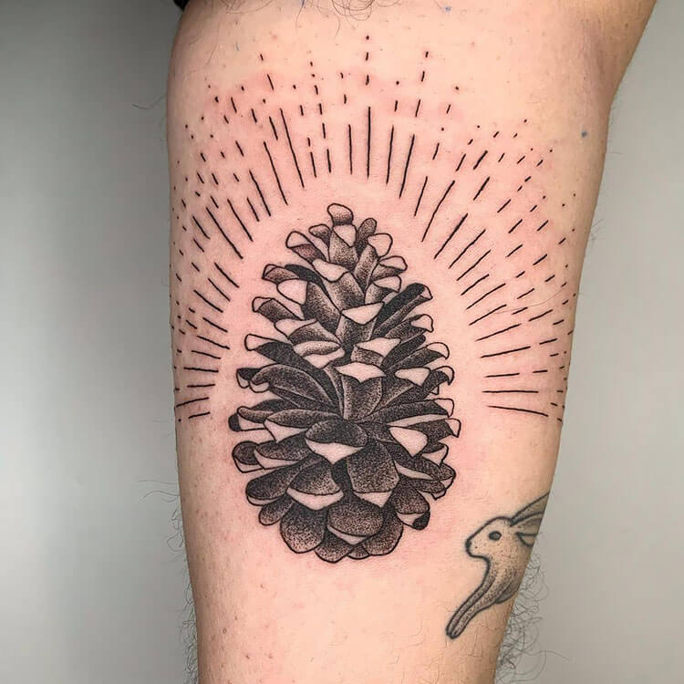 pinecone tattoo with sunbursts 