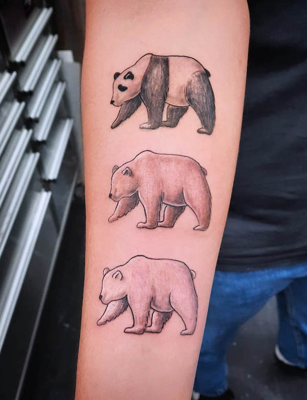 Panda grizzly and polar bear tattoo by @thebeeink