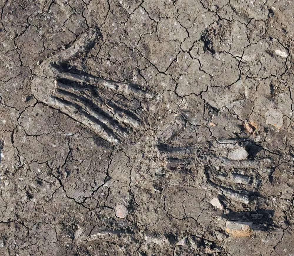 Remains of a giant hand discovered in Egypt.