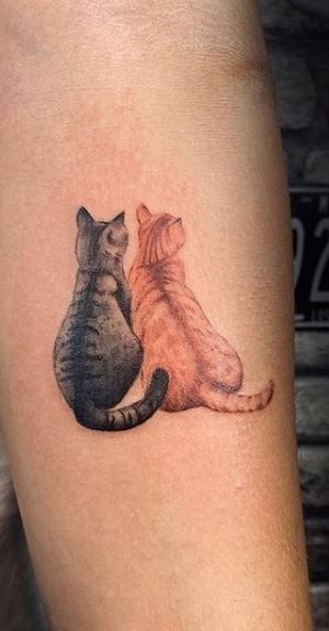 Cat Tattoos | Cat tattoo, Cat tattoo small, Cute cat tattoo