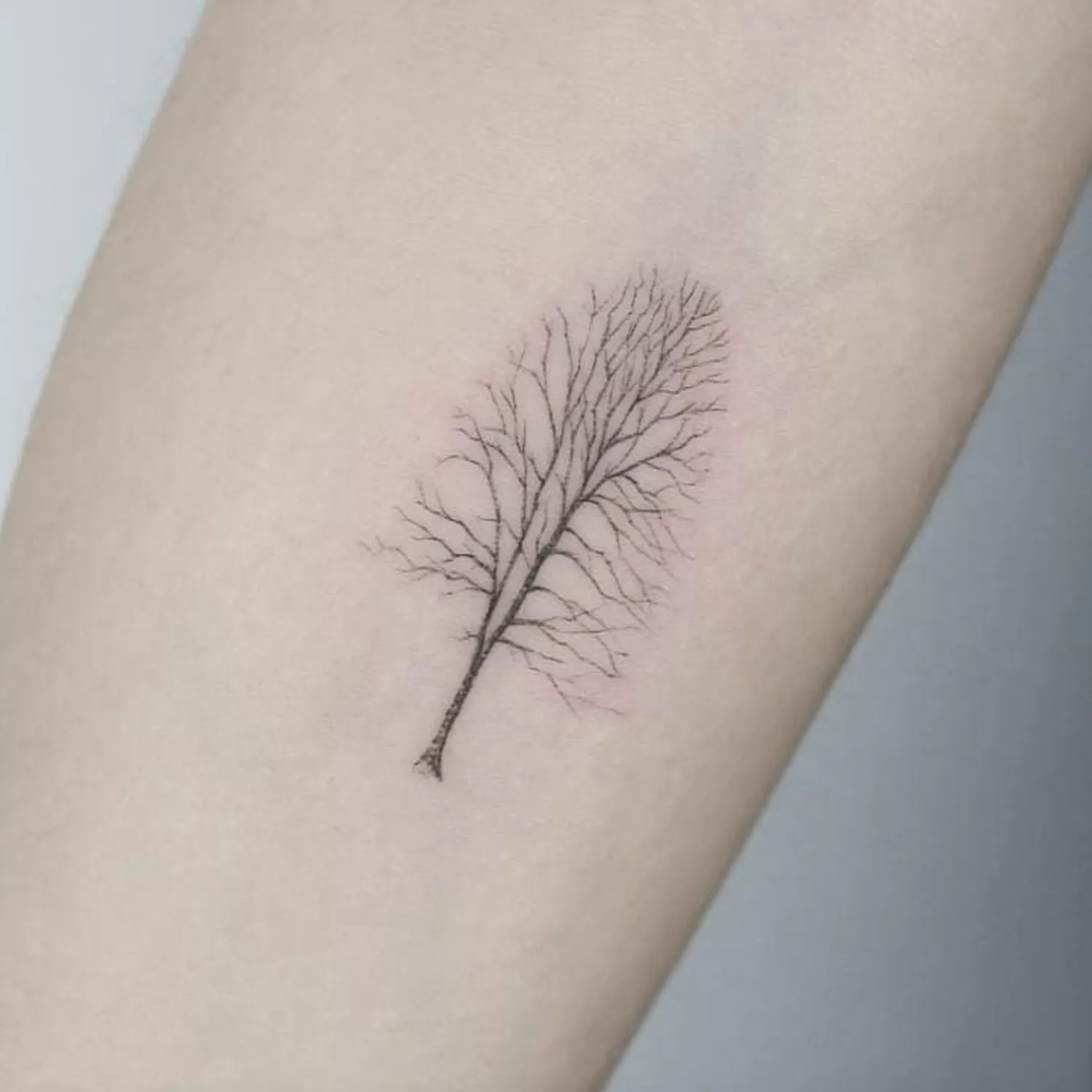 Bare tree tattoo on forearm