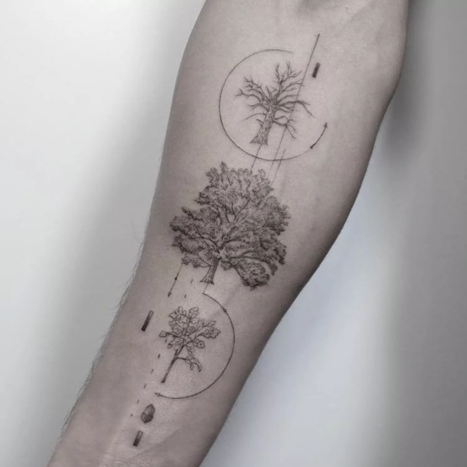 Forearm tattoo depicting each stage of a tree's lifecycle