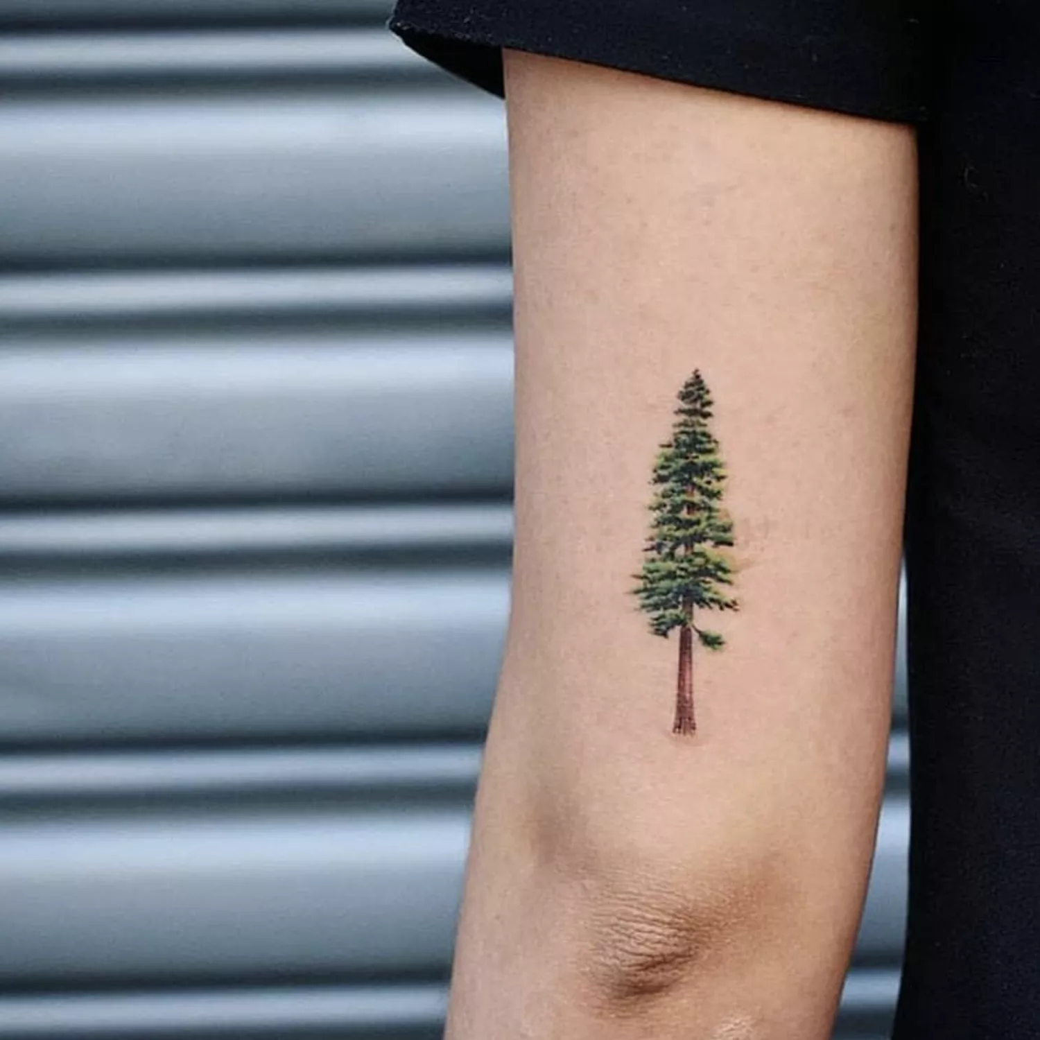 Colorful pine tree tattoo on back of bicep